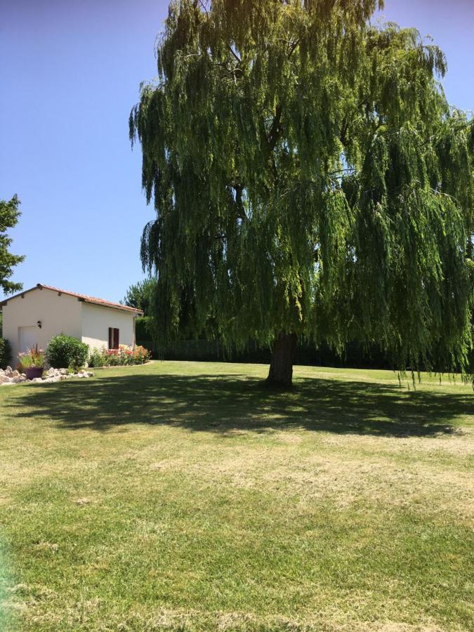 Domaine De La Vigne Bed & Breakfast Cadalen Екстериор снимка