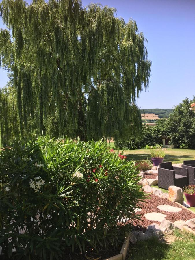 Domaine De La Vigne Bed & Breakfast Cadalen Екстериор снимка