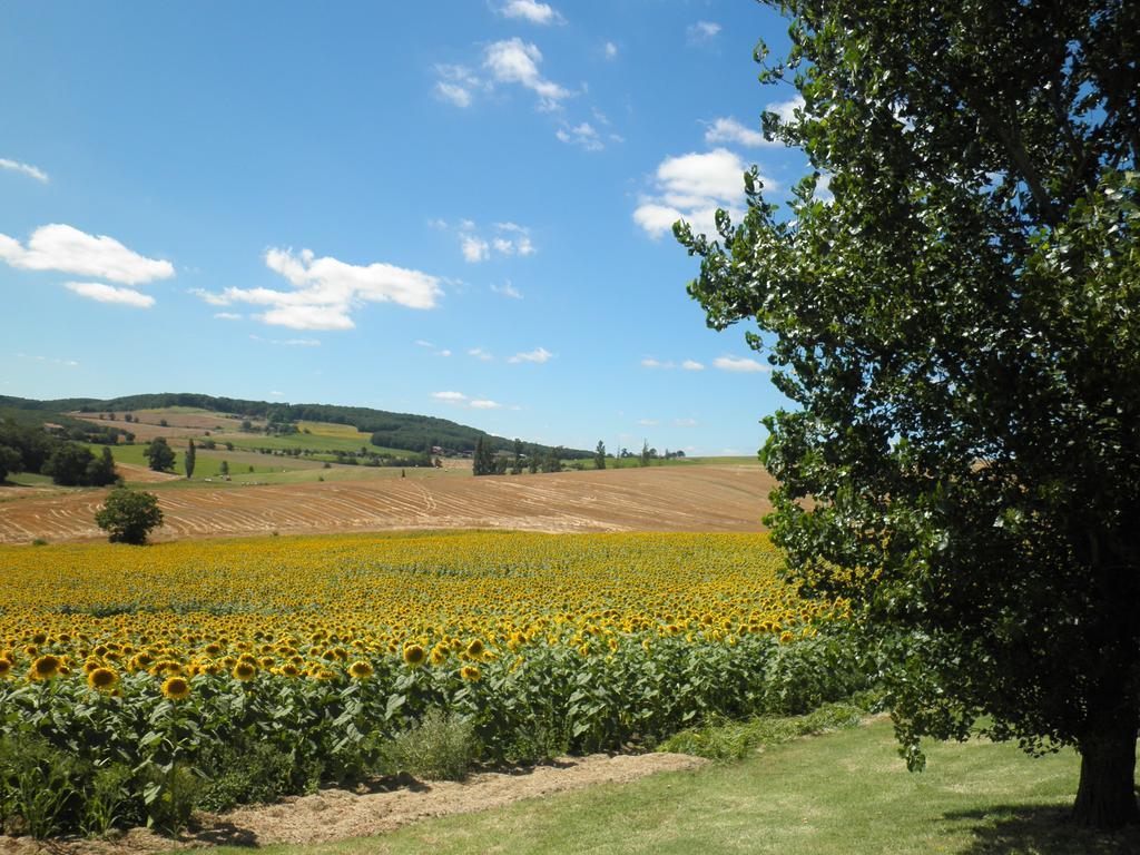 Domaine De La Vigne Bed & Breakfast Cadalen Екстериор снимка