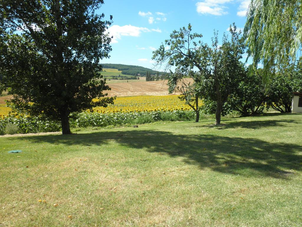 Domaine De La Vigne Bed & Breakfast Cadalen Екстериор снимка