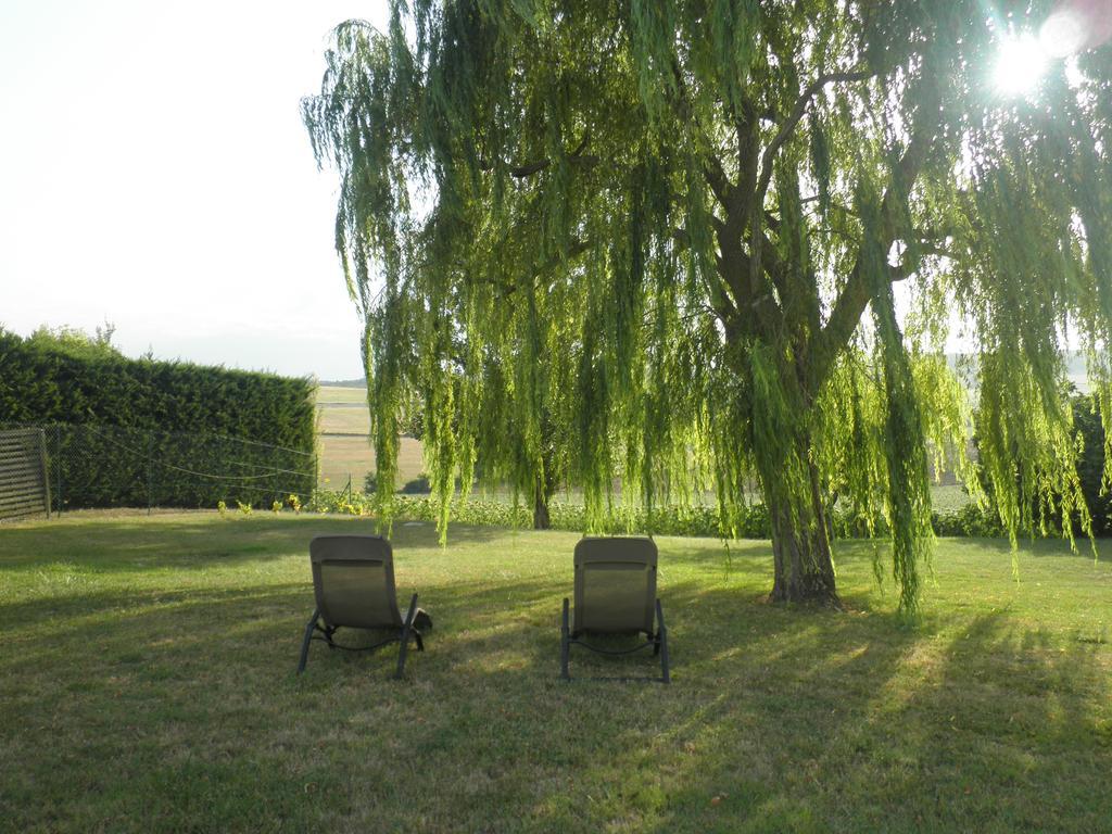 Domaine De La Vigne Bed & Breakfast Cadalen Екстериор снимка