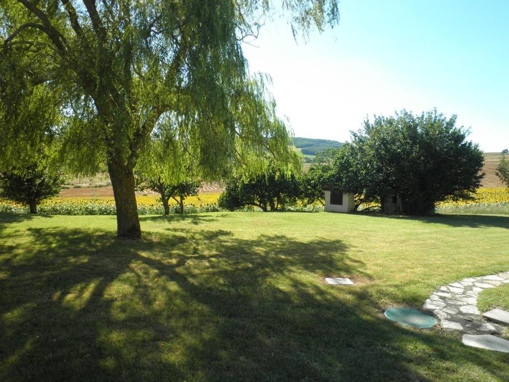 Domaine De La Vigne Bed & Breakfast Cadalen Екстериор снимка